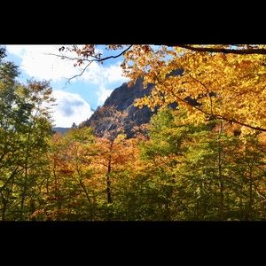 Meet your Posher, K!